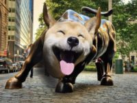 DOGEcoin
